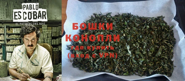 Альфа ПВП Тында
