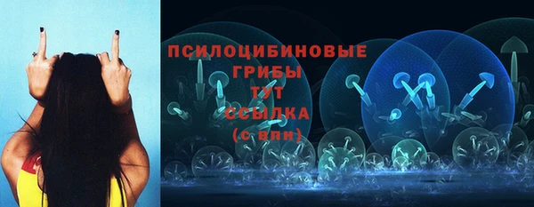 МДМА Туринск
