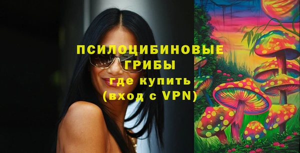 МДМА Туринск