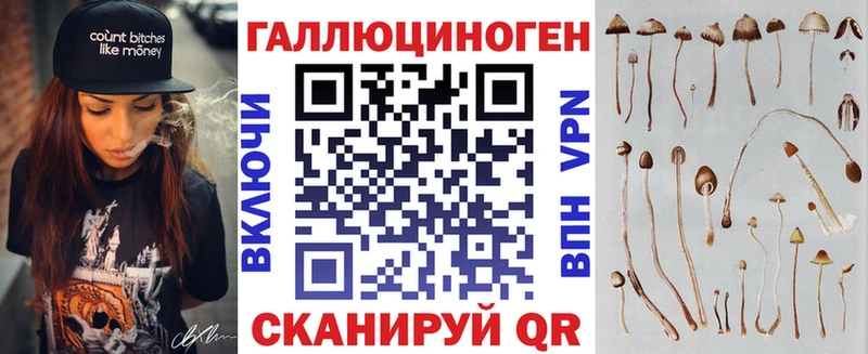 Галлюциногенные грибы Psilocybe  Приволжский 